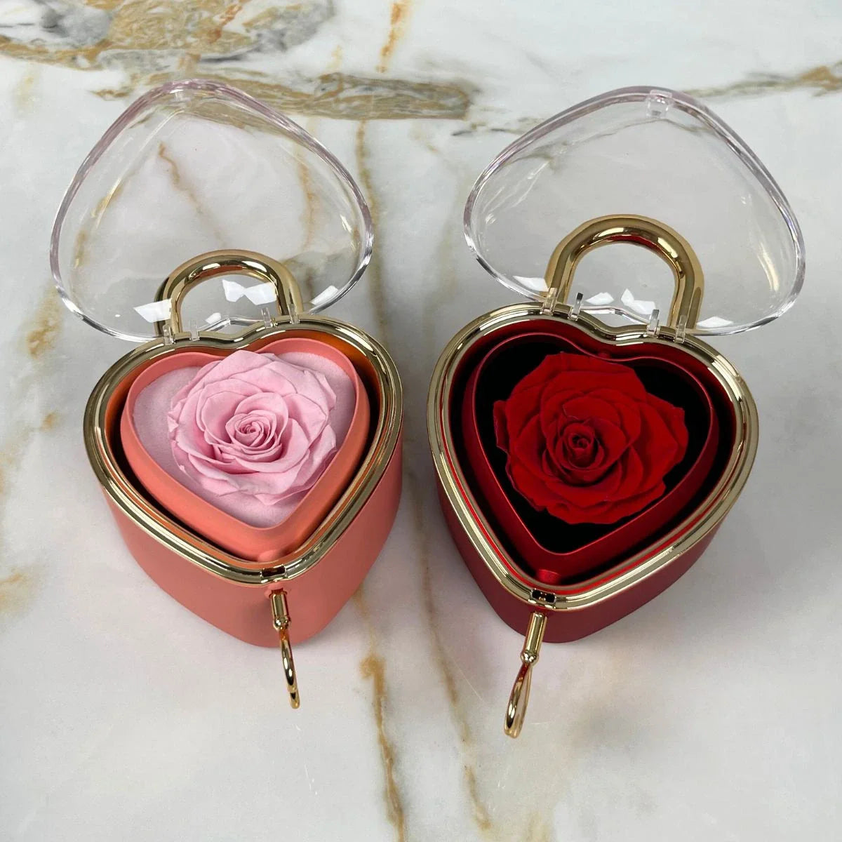 Candado Eterno & Collar Personalizado